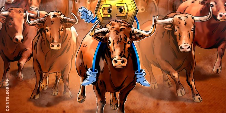 Crypto has everything needed for a bull market, so why is the market down?
